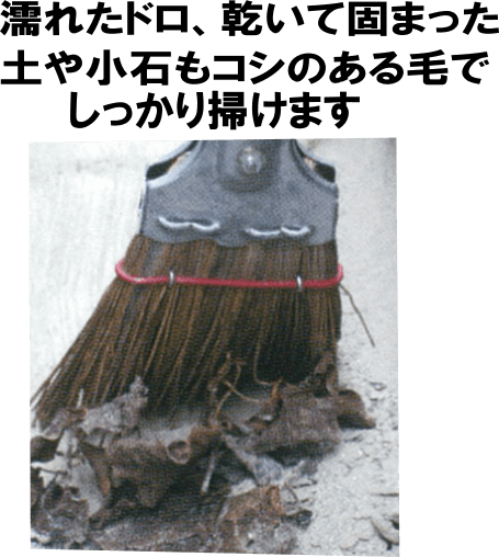 ミニほうき　ヘッドシダ